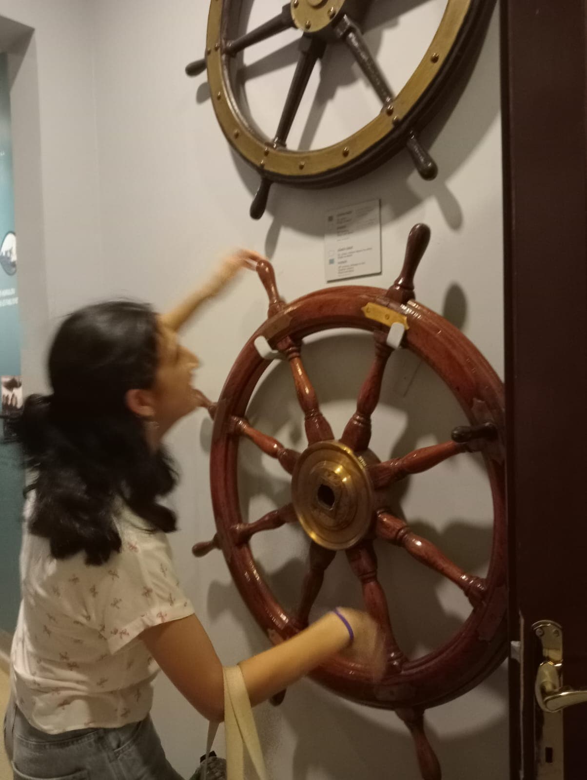 Bilge Öğütçü